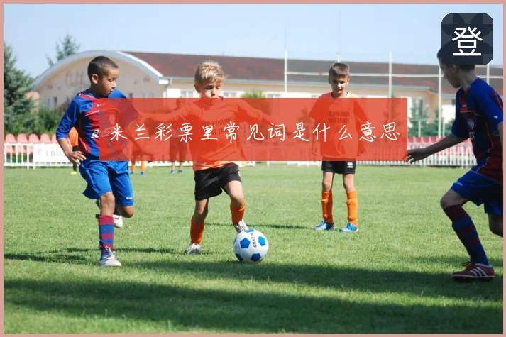 米兰彩票里常见词是什么意思